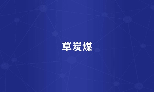 草炭煤