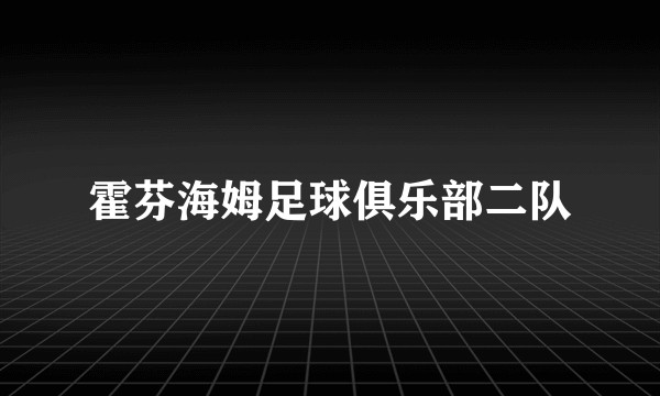 霍芬海姆足球俱乐部二队