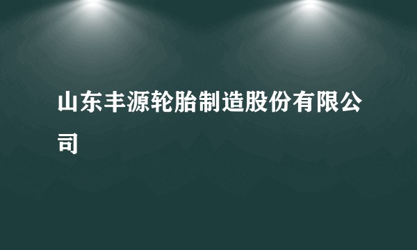 山东丰源轮胎制造股份有限公司