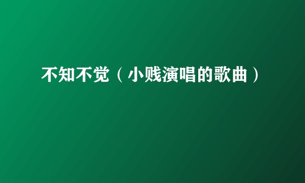 不知不觉（小贱演唱的歌曲）