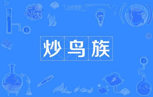 炒鸟族