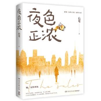 夜色正浓（2025年湖南文艺出版社出版的图书）