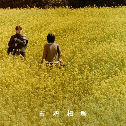 灵魂相愿
