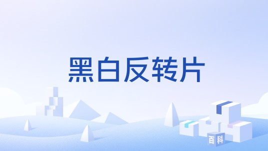 黑白反转片