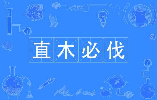 直木必伐