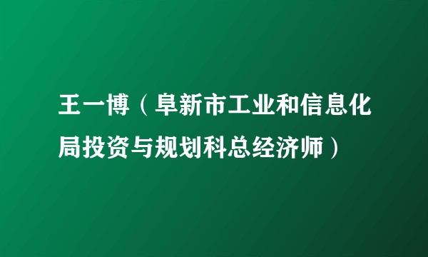 王一博（阜新市工业和信息化局投资与规划科总经济师）