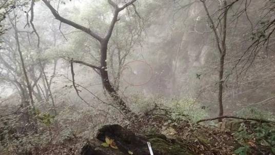 10·19退休教授爬山坠崖事件