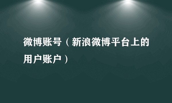 微博账号（新浪微博平台上的用户账户）