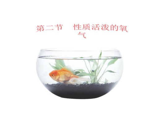 溶解态氧气