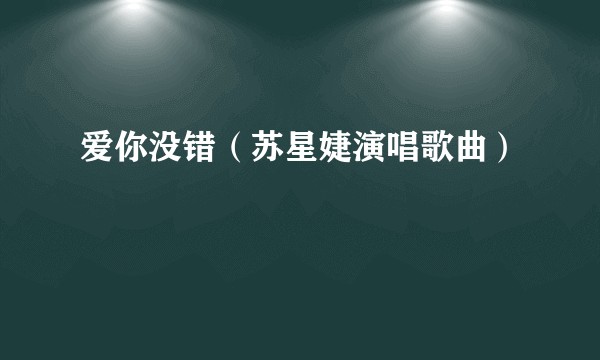 爱你没错（苏星婕演唱歌曲）