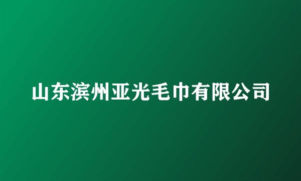 山东滨州亚光毛巾有限公司