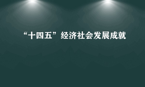 “十四五”经济社会发展成就