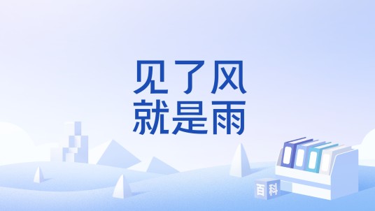 见了风就是雨