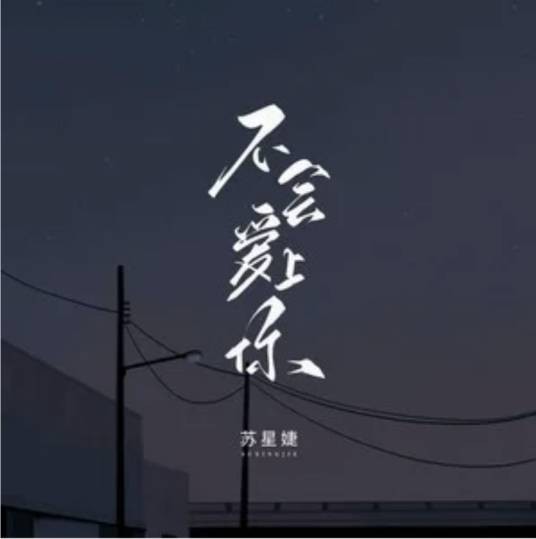 不会爱上你（苏星婕演唱的歌曲）