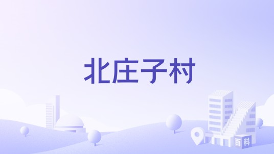 北庄子村（河北省定州市北城区街道下辖社区）