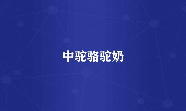 中驼骆驼奶
