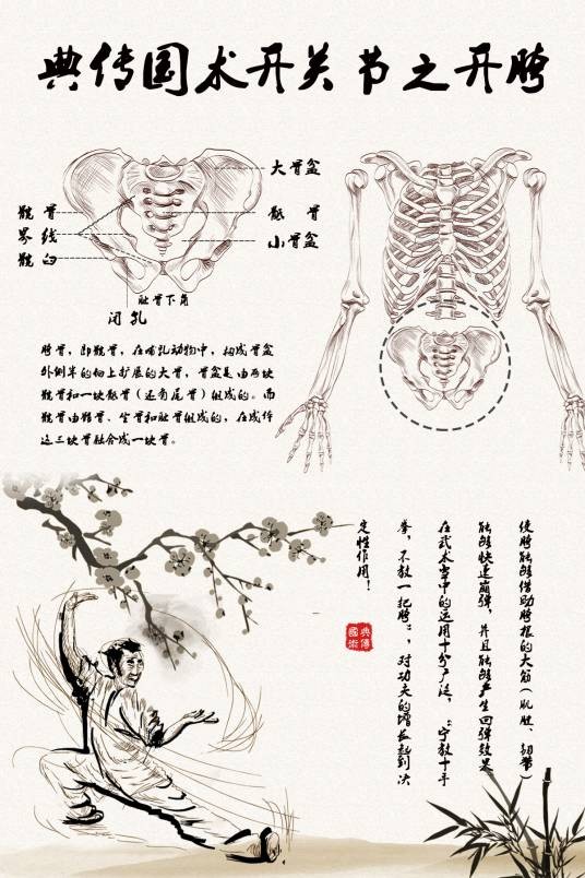 开胯