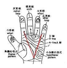 皮纹心理学