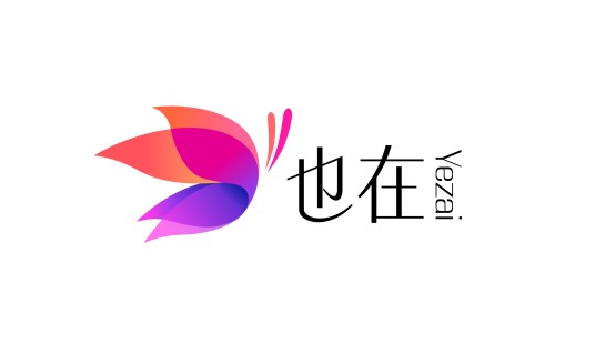 广东省也在网信息技术有限公司