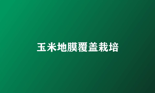 玉米地膜覆盖栽培