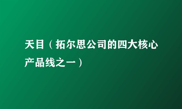 天目（拓尔思公司的四大核心产品线之一）