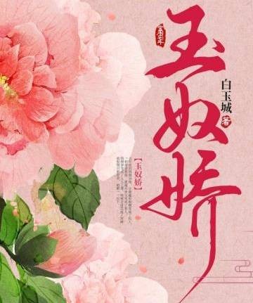 玉奴娇（白玉城创作的古代言情网络小说）