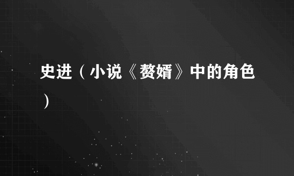 史进(小说《赘婿》中的角色)