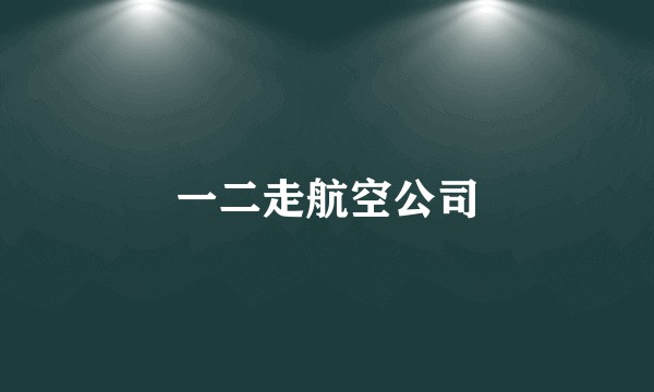 一二走航空公司