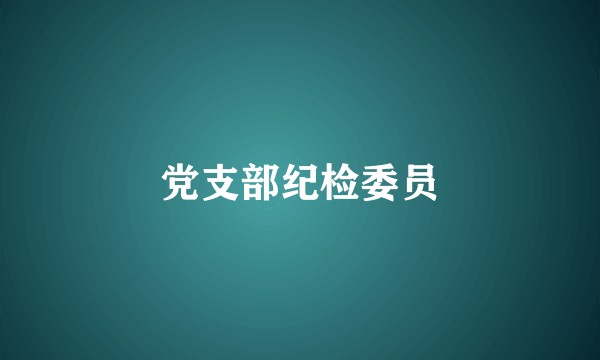 党支部纪检委员