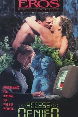 拒绝访问（1996年美国电影）