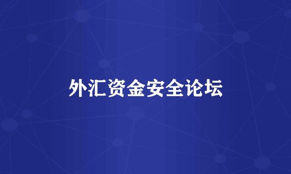外汇资金安全论坛