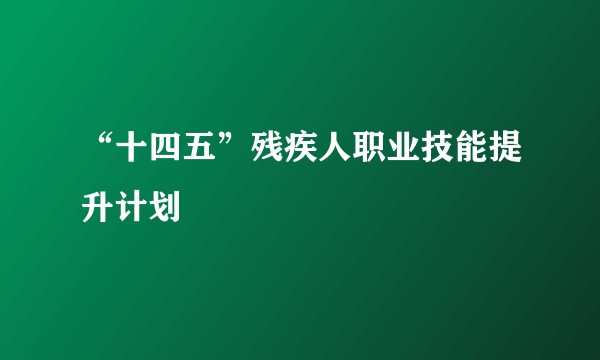 “十四五”残疾人职业技能提升计划