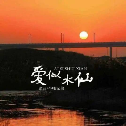 爱似水仙（张茜、半吨兄弟演唱的歌曲）