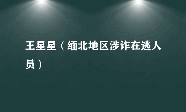 王星星（缅北地区涉诈在逃人员）
