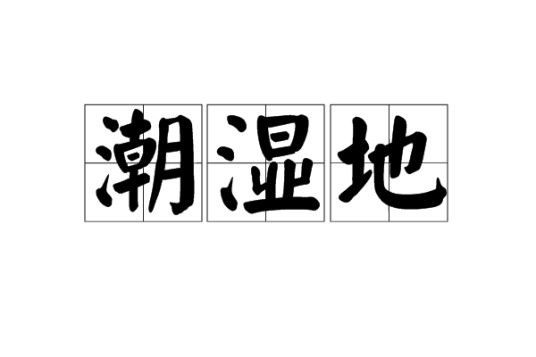 潮湿地