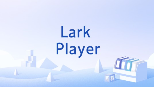 Lark Player