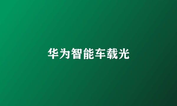 华为智能车载光