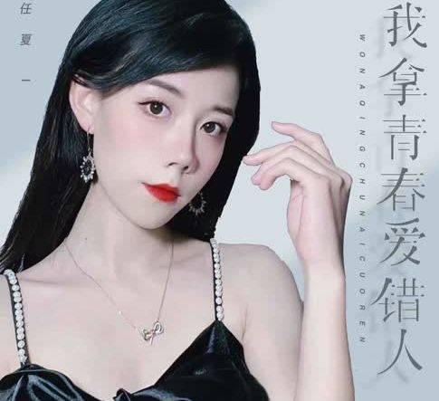 我拿青春爱错人（任夏演唱歌曲）