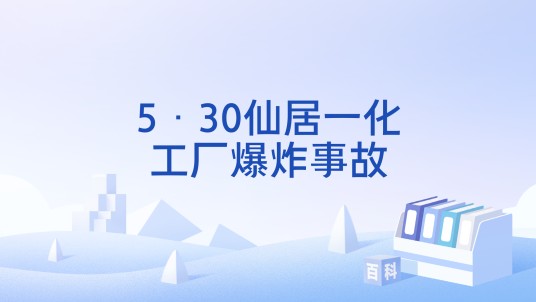 5·30仙居一化工厂爆炸事故