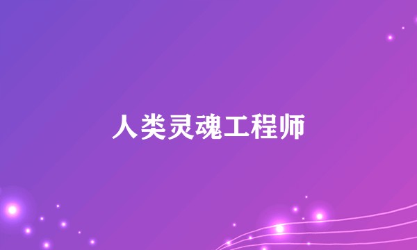 人类灵魂工程师