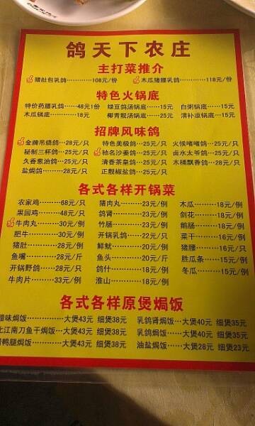 鸽天下