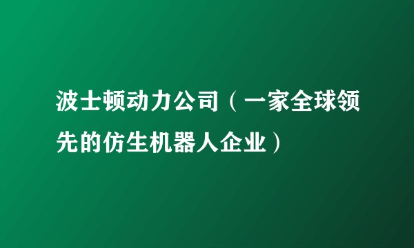 波士顿动力公司（一家全球领先的仿生机器人企业）