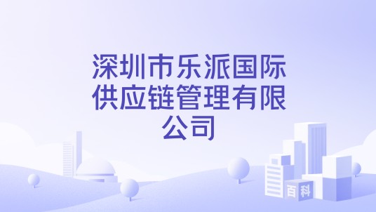 深圳市乐派国际供应链管理有限公司