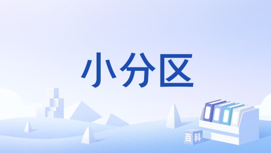 小分区