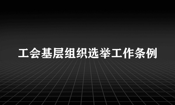 工会基层组织选举工作条例