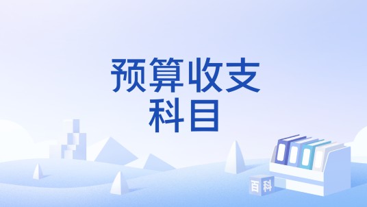 预算收支科目