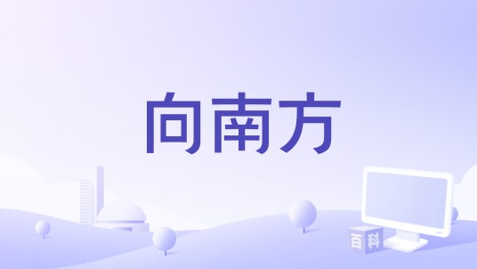 向南方（Gerhard Fillei执导的电影）