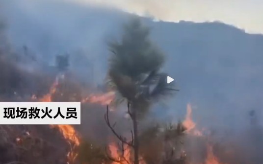 3·20洛阳山火