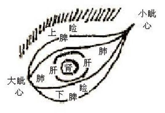 五轮学说