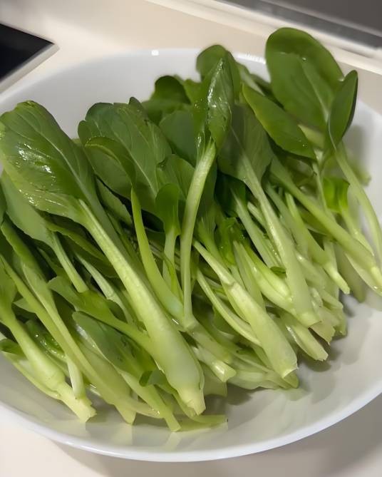 毛菜